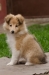 sheila9t08