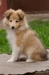sheila9t09