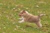 Jurkovi_2759