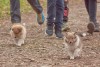Jurkovi_2829